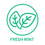 طرحی سبز از دو برگ نعناع درون یک دایره، که کلمات FRESH MINT با حروف بزرگ در زیر آن نوشته شده است.